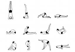 [yoga exercises]