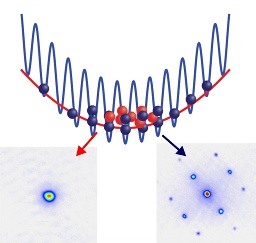 atoms in a spin-dependant optical lattice